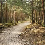 M&k Przytulny - Sobieszewo - Wyspa Sobieszewska *