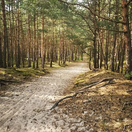 M&k Przytulny - Sobieszewo - Wyspa Sobieszewska *