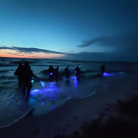 M&k Przytulny - Sobieszewo - Wyspa Sobieszewska Apartamento Gdansk