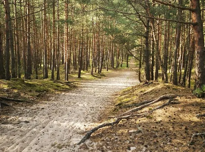 M&k Przytulny - Sobieszewo - Wyspa Sobieszewska *