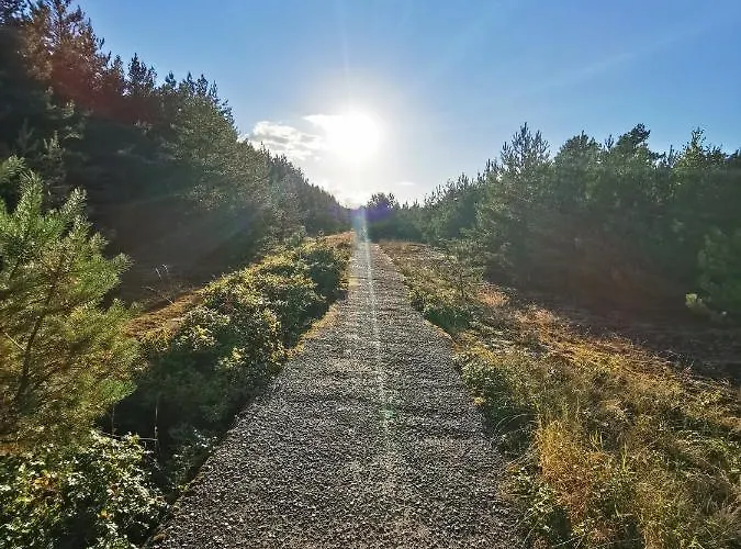 Apartman M&k Przytulny - Sobieszewo - Wyspa Sobieszewska