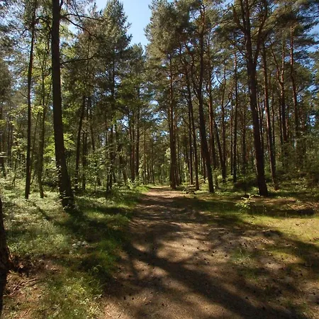 Lägenhet M&k Przytulny - Sobieszewo - Wyspa Sobieszewska Gdańsk