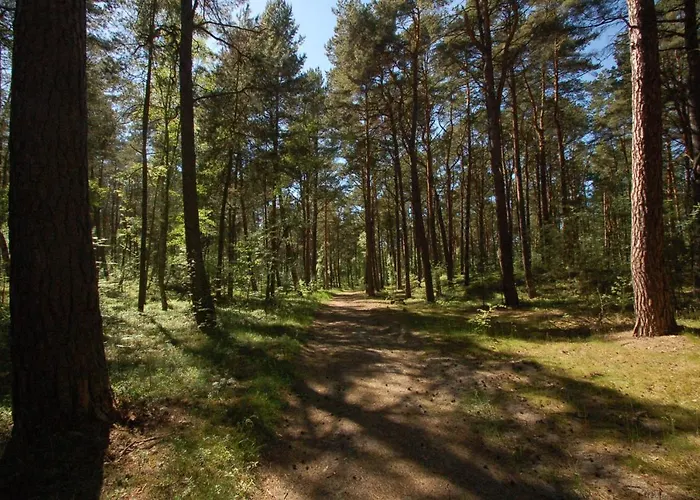 דירה M&k Przytulny - Sobieszewo - Wyspa Sobieszewska גדנסק