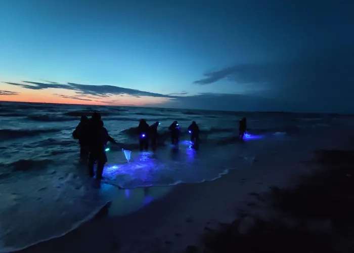 M&k Przytulny - Sobieszewo - Wyspa Sobieszewska דירה גדנסק